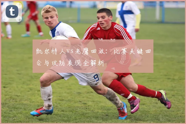 凯尔特人vs老鹰回放:比赛关键回合与攻防表现全解析