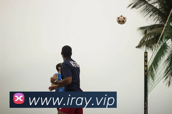 半岛平台入口服务体系